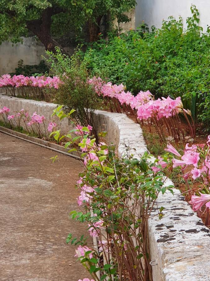 Villa Nel Salento - Ampie Camere E Giardino, Fino A 9 Persone Barbarano del Capo Eksteriør billede