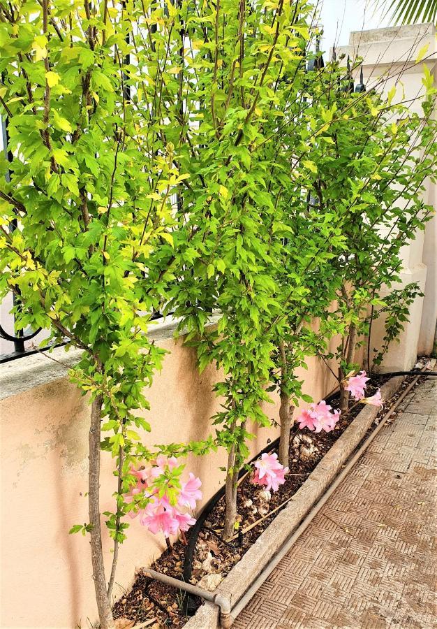 Villa Nel Salento - Ampie Camere E Giardino, Fino A 9 Persone Barbarano del Capo Eksteriør billede